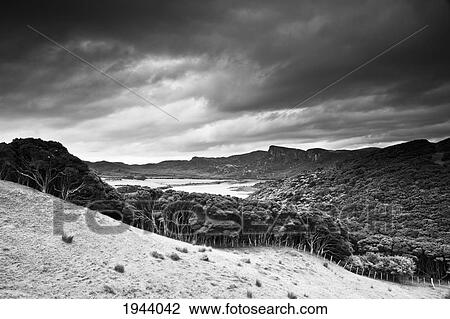 A Forest Area Along The Coast Under A Dark Cloudy Sky; Farewell Spit South Island New Zealand View Large Photo Image Stock Image - A Forest Area Along The Coast Under A Dark Cloudy Sky; Farewell Spit South Island New Zealand. Fotosearch
