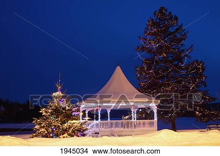 a gazebo and trees decorated for christmas; north hatley quebec canada View Large Photo Image Picture - a gazebo and trees decorated for christmas; north hatley quebec canada. Fotosearch
