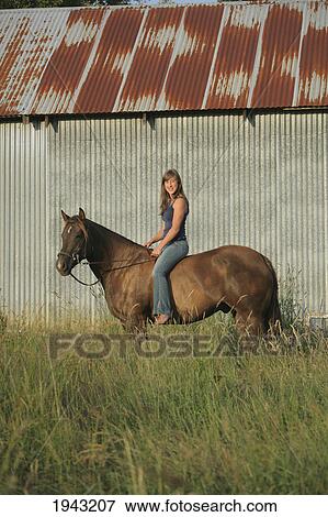 Stock Photo - A Girl Sitting On A Horse In Front Of A Metal Barn; Troutdale Oregon United States Of America. Fotosearch