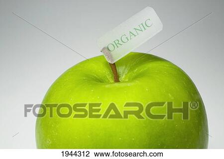 Stock Image - a granny smith apple with an organic label on the stem; waterloo quebec canada. Fotosearch