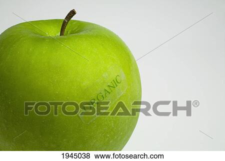 Stock Photo - a granny smith apple with an organic label; waterloo quebec canada. Fotosearch
