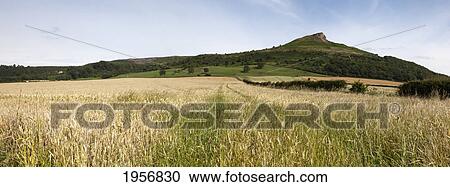 a grassy field below a hill with a peak; roseberry topping north yorkshire england View Large Photo Image Stock Image - a grassy field below a hill with a peak; roseberry topping north yorkshire england. Fotosearch