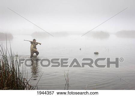 Stock Photo - a hunter in the water wearing camouflage and holding a rifle; colusa california united states of america. Fotosearch
