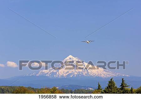 Stock Photo - a jet takes off from portland international airport with mount hood in the background; portland oregon united states of america. Fotosearch