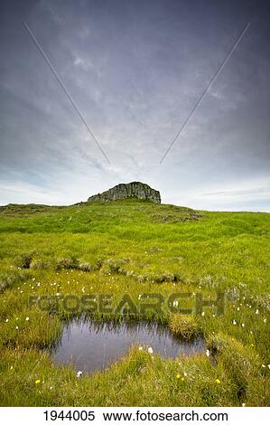 Stock Photography - A Large Rock Surrounded By A Grassy Open Space; Papey Island Iceland. Fotosearch