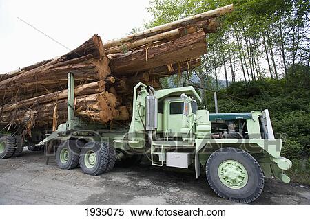 Stock Photography - A Logging Truck Stacked With Cedar Logs Sits Near Cougar Annie's Garden; Boat Basin, Vancouver Island, British Columbia, Canada. Fotosearch