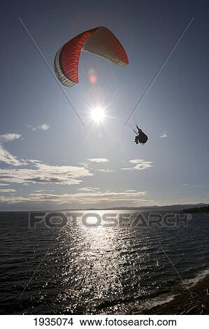 Picture - A Man Paragliding Along The Shoreline; Victoria, Vancouver Island, British Columbia, Canada. Fotosearch