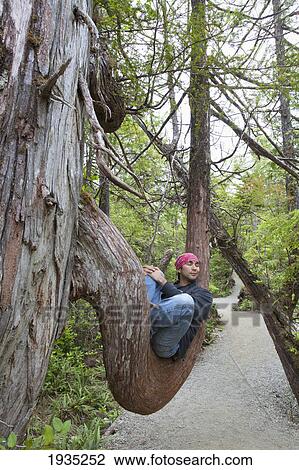 Stock Image - A Man Takes A Rest On A Large Tree Branch Along The Wild Pacific Trail On Vancouver Island; Ucluelet, British Columbia, Canada. Fotosearch