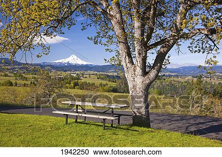 A Path And Picnic Table In Panorama Park With A View Of Mount Hood And Hood River Valley; Oregon United States Of America View Large Photo Image Stock Image - A Path And Picnic Table In Panorama Park With A View Of Mount Hood And Hood River Valley; Oregon United States Of America. Fotosearch