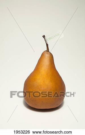 a pear with an organic label; waterloo quebec canada View Large Photo Image Stock Photograph - a pear with an organic label; waterloo quebec canada. Fotosearch