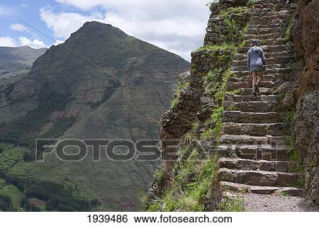 Stock Photograph - A Person Climbing The Steps In The Archaeological Park Of Pisac; Peru. Fotosearch
