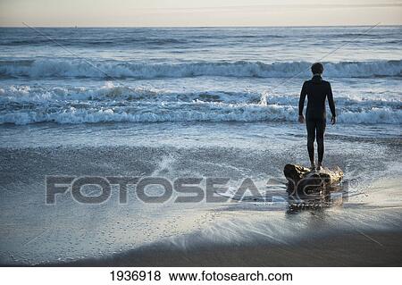 Stock Photo - A Person Stands On A Piece Of Driftwood In The Tide As The Waves Come Up Onto The Beach; La Push Washington United States Of America. Fotosearch
