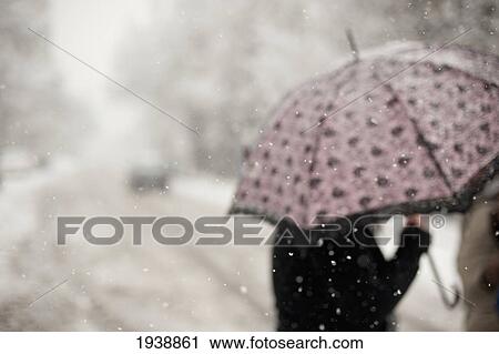 Stock Image - A Person Uses An Umbrella In A Snowfall As They Walk Across The Street; Victoria British Columbia Canada. Fotosearch
