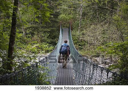 Stock Image - A Person Walking Over A Suspension Bridge In China Beach; British Columbia Canada. Fotosearch