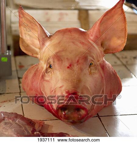 Stock Image - A Pig's Head On A Butcher's Counter For The Market; Cusco Peru. Fotosearch