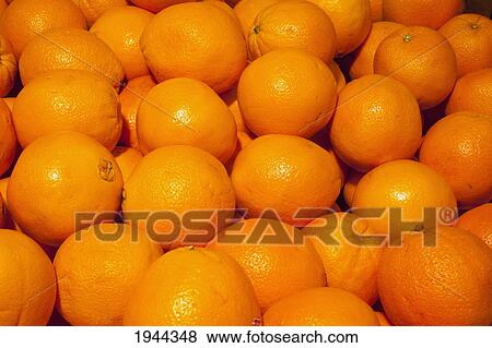 a pile of oranges; waterloo quebec canada View Large Photo Image Stock Photo - a pile of oranges; waterloo quebec canada. Fotosearch