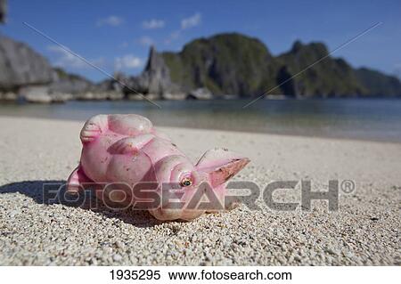 Stock Photography - A Pink Plastic Rabbit Toy Washed Up On Beach; Tapiutan Island, Palawan, Philippines. Fotosearch