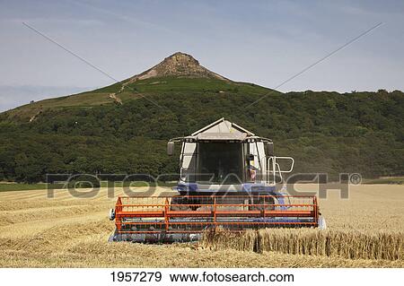 a plough works in a field; roseberry topping north yorkshire england View Large Photo Image Stock Photo - a plough works in a field; roseberry topping north yorkshire england. Fotosearch