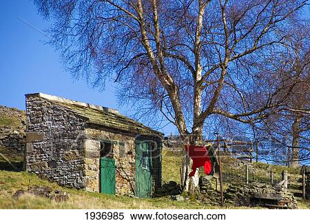 Stock Photography - A Red Shirt Hanging On The Clothes Line Beside A Shed; Blanchland Northumberland England. Fotosearch