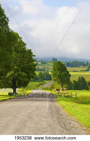 Stock Photo - a road leading past a red mailbox and farmland; west bolton quebec canada. Fotosearch