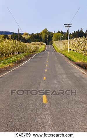 A Road With Orchards On Both Sides; Portland Oregon United States Of America View Large Photo Image Stock Photo - A Road With Orchards On Both Sides; Portland Oregon United States Of America. Fotosearch