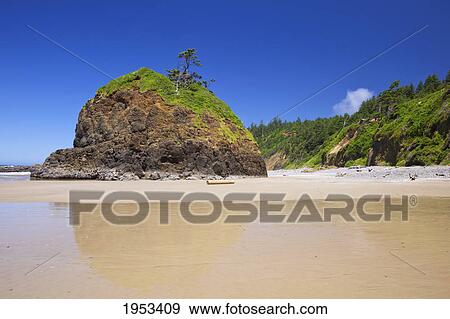 Stock Photo - a rock formation on short beach at oregon islands national wildlife refuge; oregon united states of america. Fotosearch