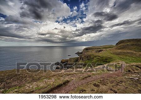 Stock Photo - a rock ledge along the coastline; st. abb's head scottish borders scotland. Fotosearch