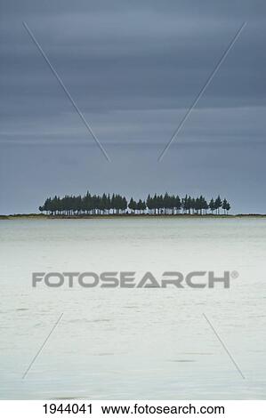 A Row Of Trees Along The Coast; Farewell Spit South Island New Zealand View Large Photo Image Stock Image - A Row Of Trees Along The Coast; Farewell Spit South Island New Zealand. Fotosearch