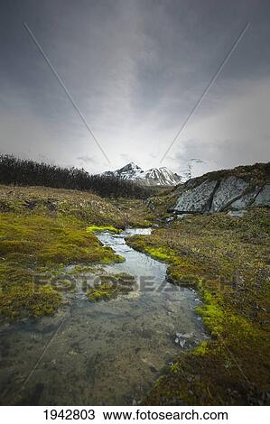 A Small Stream With A Mountain In The Background; Jasper Alberta Canada View Large Photo Image Stock Image - A Small Stream With A Mountain In The Background; Jasper Alberta Canada. Fotosearch