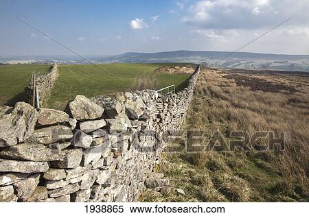 Stock Photography - A Stone Fence Along The Landscape Of Yorkshire Moors; Yorkshire Dales England. Fotosearch