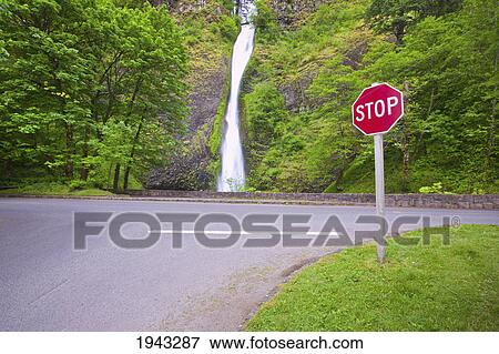 A Stop Sign At The Corner Of A Road And Horse Tail Falls In Columbia River Gorge National Scenic Area In The Pacific Northwest; Oregon United States Of America View Large Photo Image Stock Photo - A Stop Sign At The Corner Of A Road And Horse Tail Falls In Columbia River Gorge National Scenic Area In The Pacific Northwest; Oregon United States Of America. Fotosearch