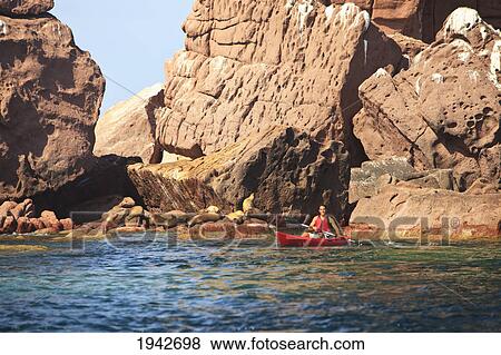 A Tourist Paddles In A Red Boat At Los Islotes National Marine Park Espiritu Santo Island; La Paz Baja California Mexico View Large Photo Image Stock Photo - A Tourist Paddles In A Red Boat At Los Islotes National Marine Park Espiritu Santo Island; La Paz Baja California Mexico. Fotosearch