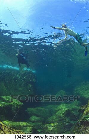 A Tourist Swimming Underwater With A Sea Lion At Los Islotes National Marine Park Espiritu Santo Island; La Paz Baja California Mexico View Large Photo Image Stock Photograph - A Tourist Swimming Underwater With A Sea Lion At Los Islotes National Marine Park Espiritu Santo Island; La Paz Baja California Mexico. Fotosearch
