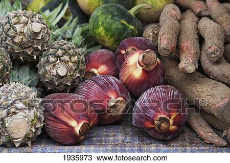 A Variety Of Vegetables Displayed On A Table; Khuruthang Punakha District Bhutan View Large Photo Image Stock Image - A Variety Of Vegetables Displayed On A Table; Khuruthang Punakha District Bhutan. Fotosearch