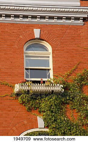 Stock Photo - a window on a brick building and creeping vines; trois rivieres quebec canada. Fotosearch