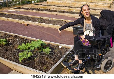 A Woman In A Wheelchair Showing Her Garden; Bolton Lancashire England View Large Photo Image Stock Photo - A Woman In A Wheelchair Showing Her Garden; Bolton Lancashire England. Fotosearch