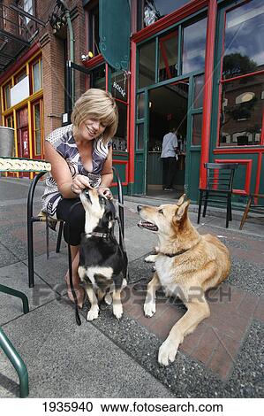 A Woman Trains With Her Two Dogs As She Sits In Front Of A Coffee Shop In Downtown; Victoria, British Columbia, Canada View Large Photo Image Stock Image - A Woman Trains With Her Two Dogs As She Sits In Front Of A Coffee Shop In Downtown; Victoria, British Columbia, Canada. Fotosearch