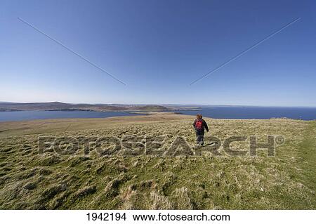 Picture - A Woman Walking Across A Grass Field Along The Coast; Noss Scotland. Fotosearch
