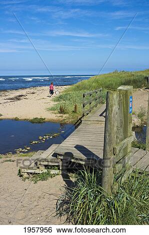 Stock Photograph - a woman walks on the beach along the coast; northumberland england. Fotosearch