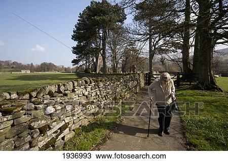 Stock Image - A Woman With A Cane Walks Down A Path Along A Stone Fence; Coverham Yorkshire England. Fotosearch