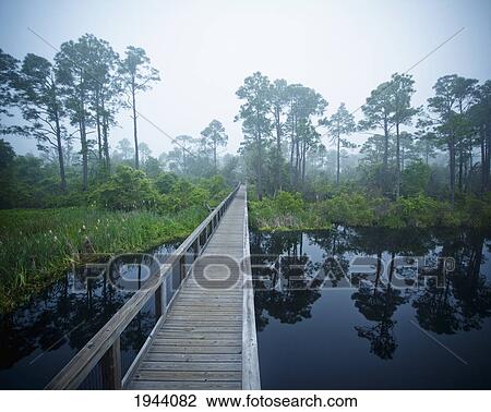 Stock Image - A Wooden Boardwalk Over A River With Trees Reflected In The Water; Pensacola Florida United States Of America. Fotosearch