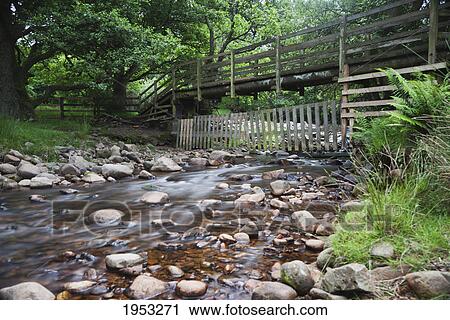 Stock Image - a wooden boardwalk over a stream; northumberland england. Fotosearch