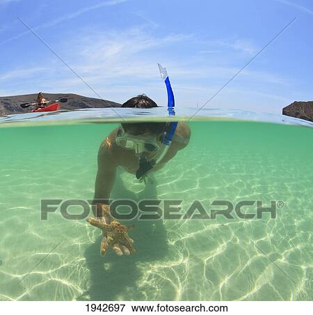 Stock Photo - A Young Man Snorkels Holding A Starfish Underwater And Another Person Paddling A Boat; La Paz Baja California Sur Mexico. Fotosearch