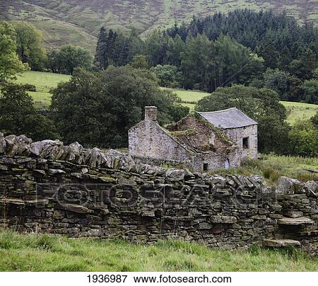 Stock Photo - Abandoned And Ruined House And Trees; Allendale Northumberland England. Fotosearch