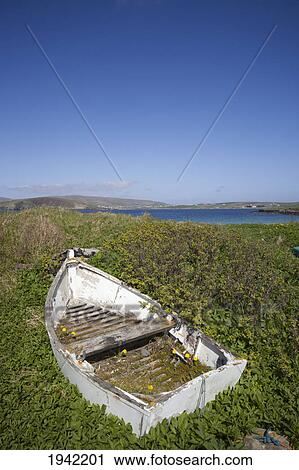 Stock Image - An Abandoned Boat With Plants Surrounding It Along The Coast; Shetland Scotland. Fotosearch