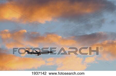 An Airplane Flying During Sunset; Willmar Minnesota United States Of America View Large Photo Image Stock Image - An Airplane Flying During Sunset; Willmar Minnesota United States Of America. Fotosearch