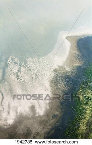 Stock Photography - Animal Tracks From Above In The Mud Flats Of Cooking Lake; Alberta Canada. Fotosearch