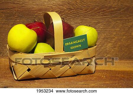 Picture - apples in a basket with an organically grown sign; waterloo quebec canada. Fotosearch