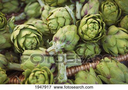 Stock Photo - basket of artichokes; berkeley california united states of america. Fotosearch