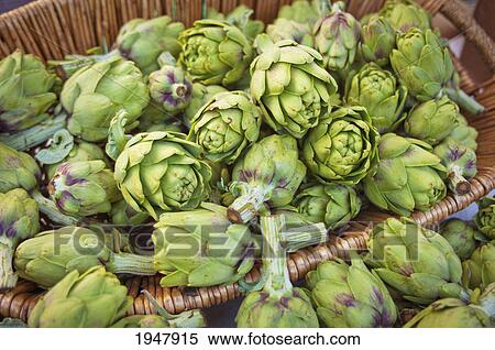 Stock Photography - basket of artichokes; berkeley california united states of america. Fotosearch